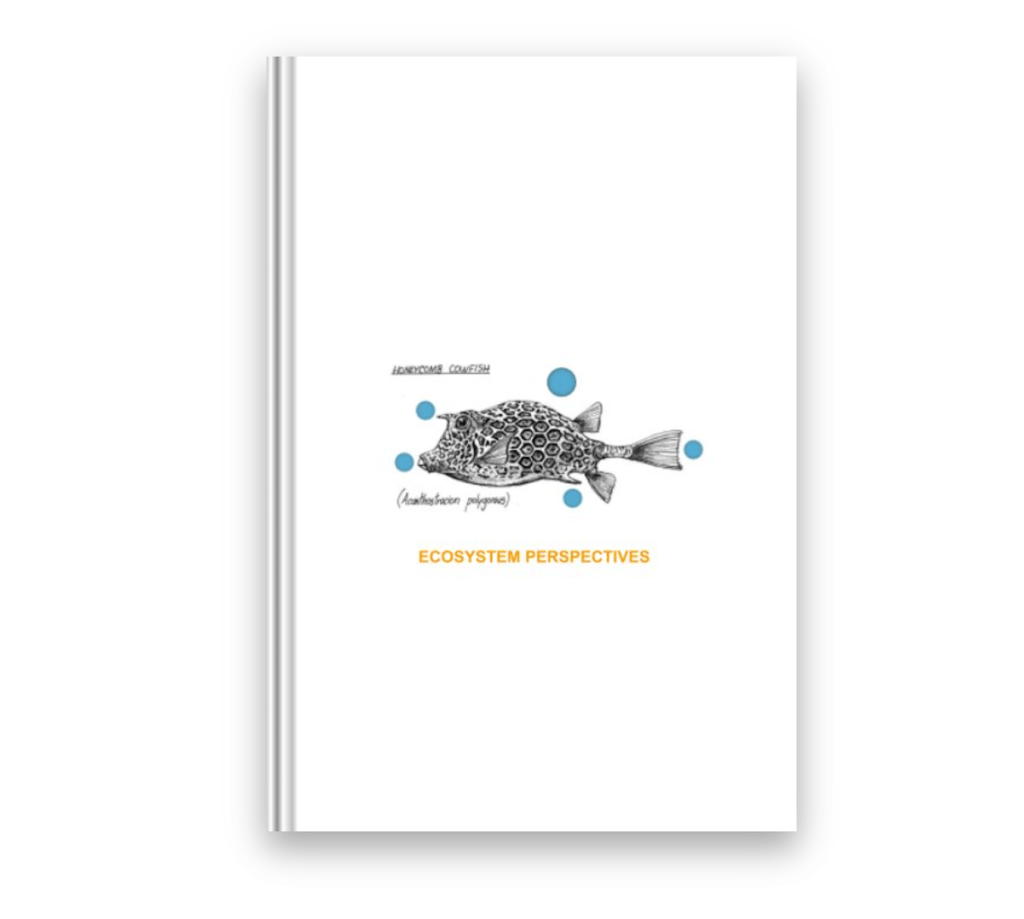 2019 Ecosystem Perspectives