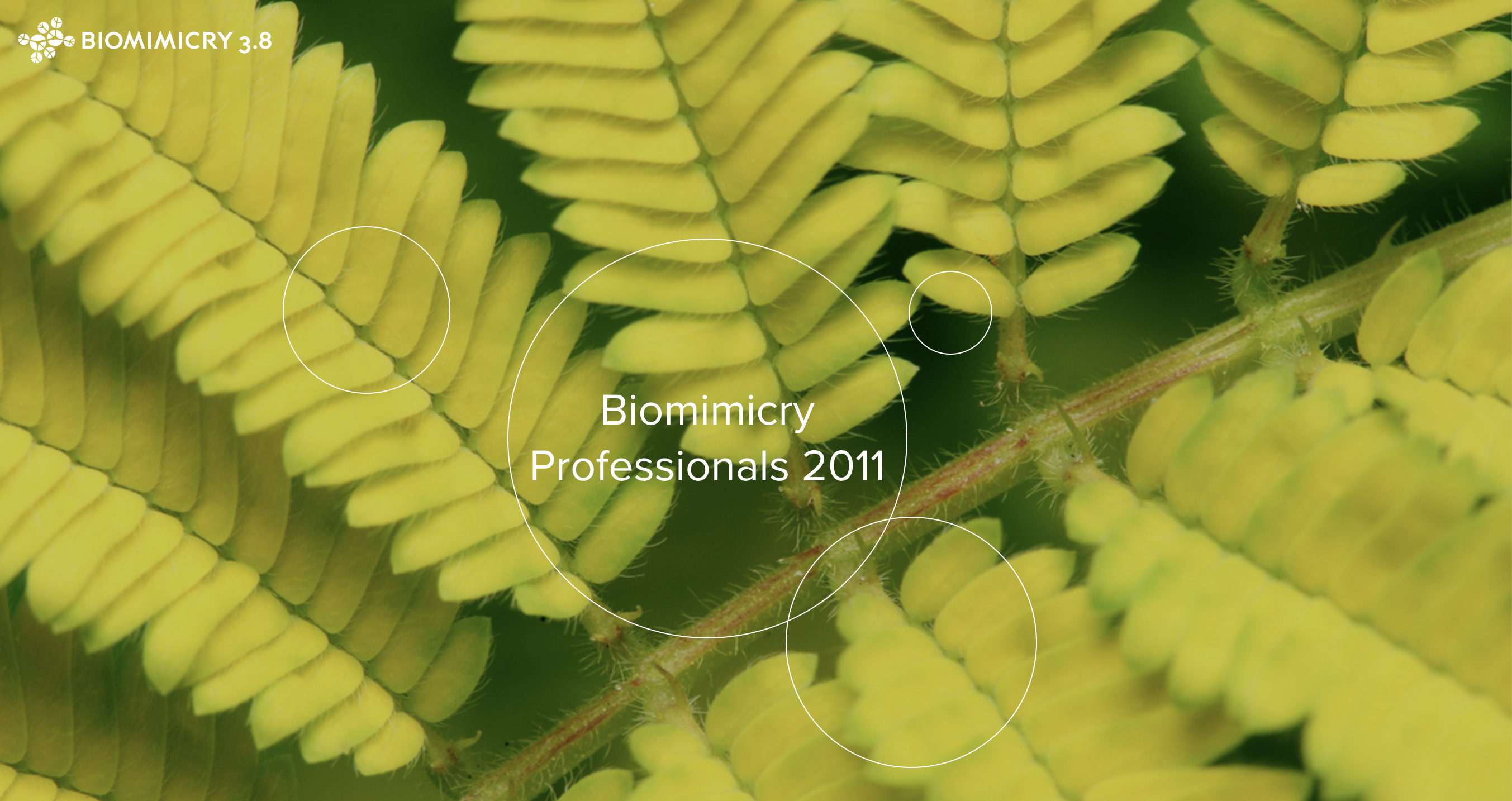 Certification BPRO 2011 — Biomimicry 3.8